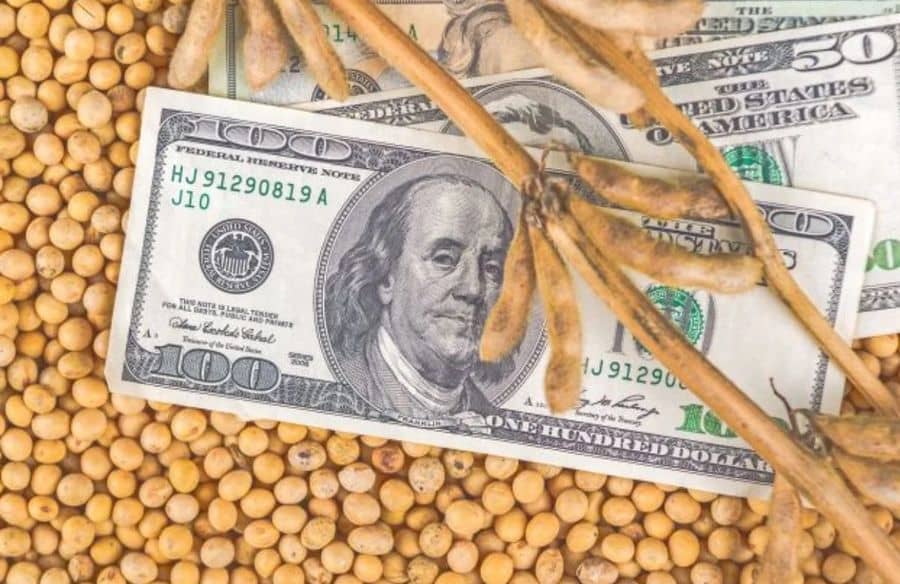 Цените на соята продължават да падат въпреки по-ниските прогнози за реколтата в Аржентина и Бразилия